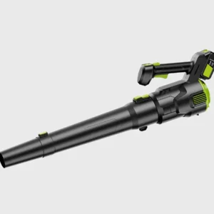 DC cordless lawn blower